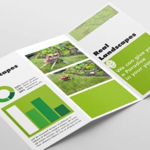 Brochures